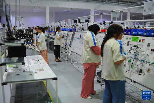 突尼斯工業(yè)部長 期待與中國深化汽車行業(yè)合作與教育投資